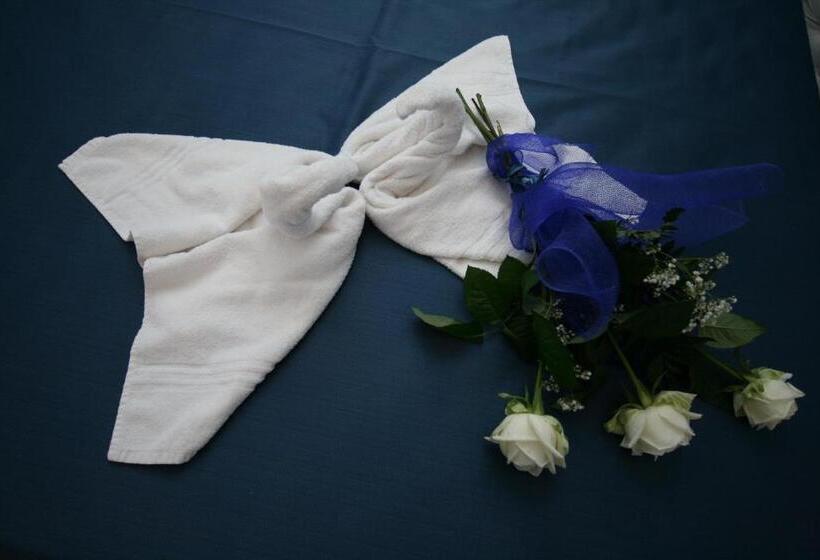 수피리어 테라스 룸, B&b Armonie