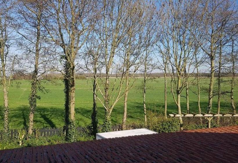 Номер Стандарт, B&b Plompetorenzicht