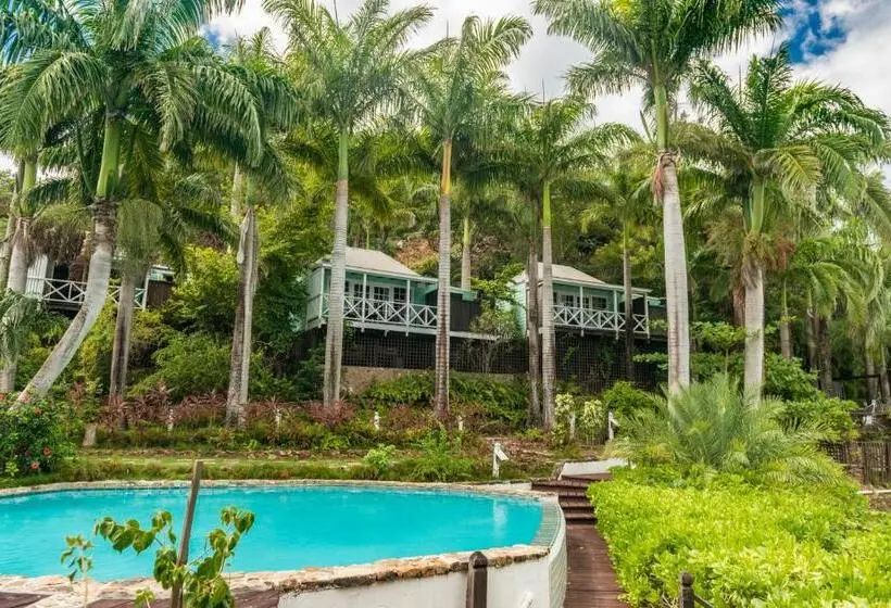 کابین, Cocos Hotel Antigua   All Inclusive   Adults Only