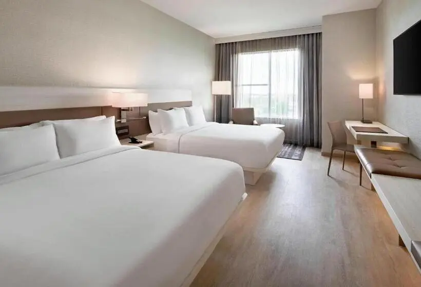 シングルデラックスルーム, Ac Hotel By Marriott Gainesville Downtown