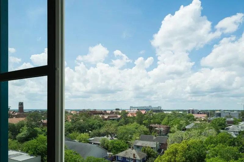 シングルデラックスルーム, Ac Hotel By Marriott Gainesville Downtown
