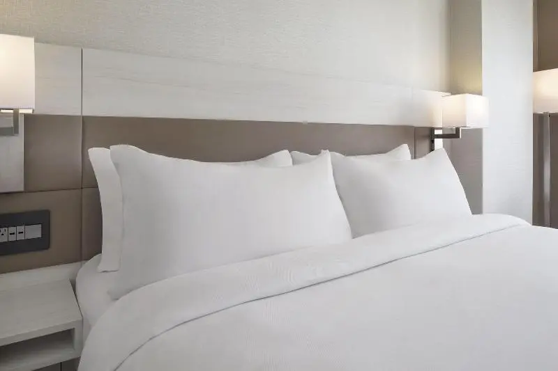 シングルデラックスルーム, Ac Hotel By Marriott Gainesville Downtown