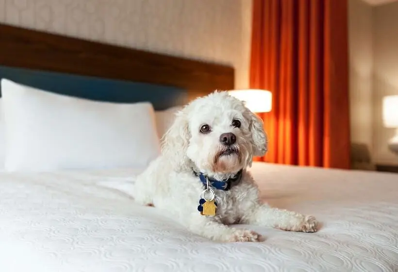 身障者適用スイートルーム, Home2 Suites By Hilton Mt Pleasant Charleston