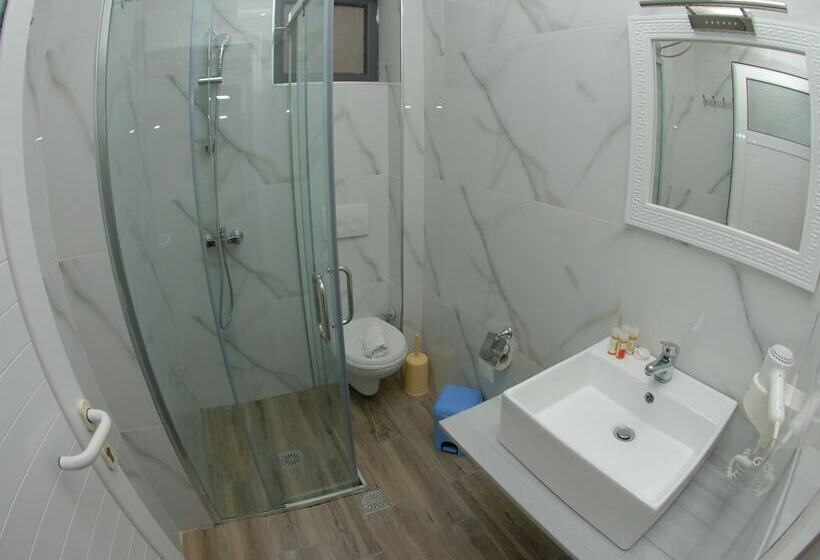 Camera Standard, Iliria