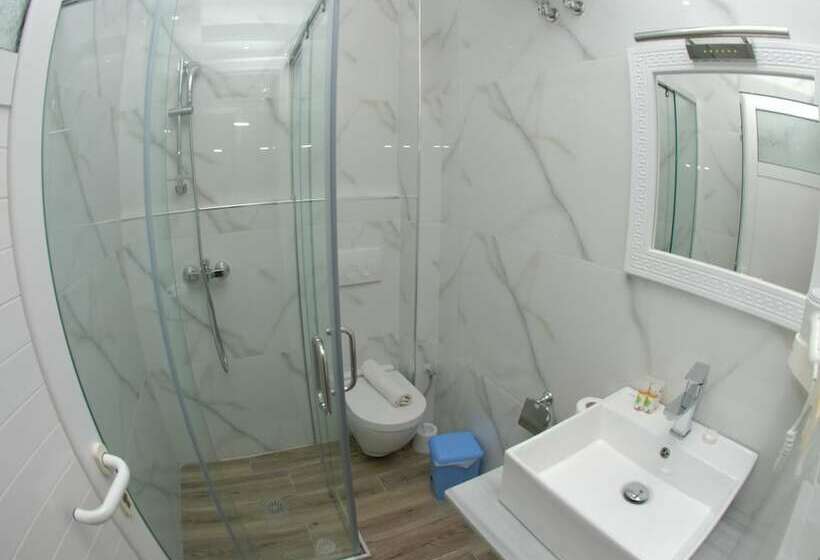 Camera Standard, Iliria