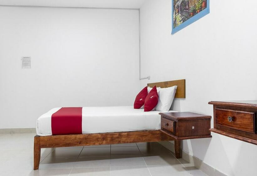 شقة غرفة واحدة, Magnolia