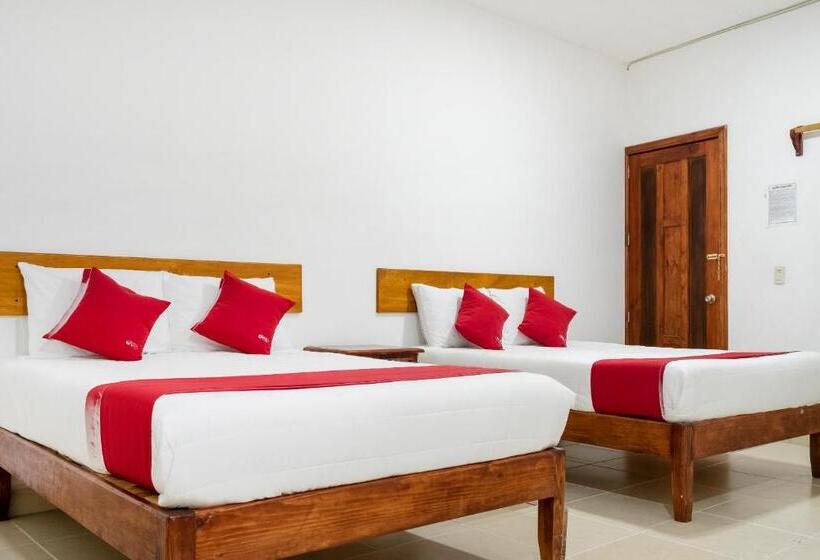 غرفة قياسية, Magnolia