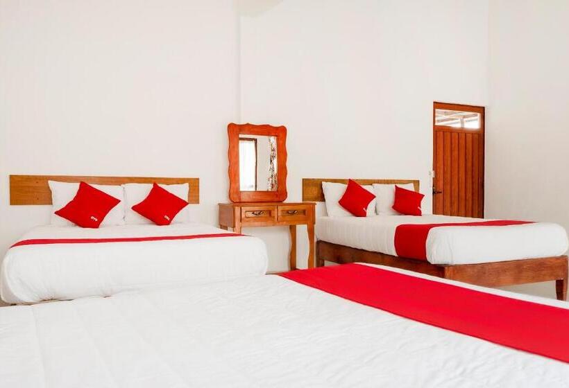 شقة غرفة واحدة, Magnolia