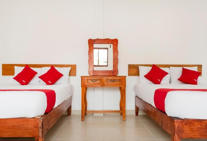 شقة غرفة واحدة, Magnolia