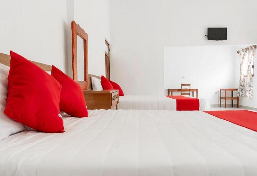 شقة غرفة واحدة, Magnolia