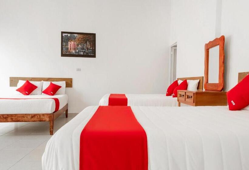 شقة غرفة واحدة, Magnolia