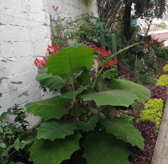 غرفة سوبيريور مطلة على المدينة, Casatodosantos