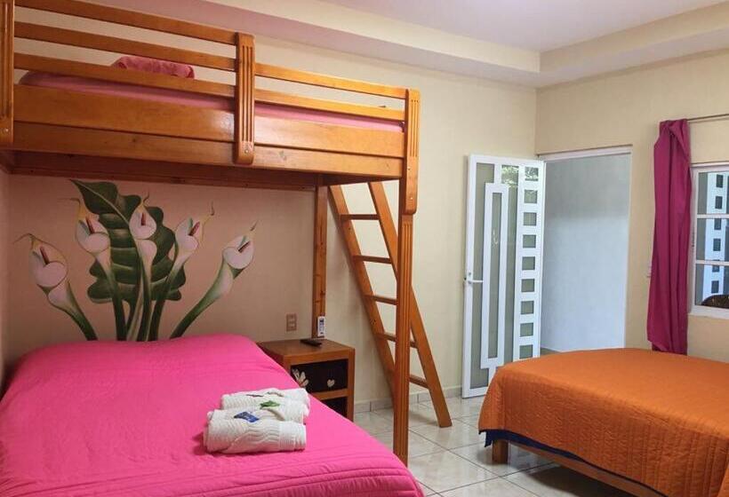 חדר סטנדרט לשלושה, Jovita