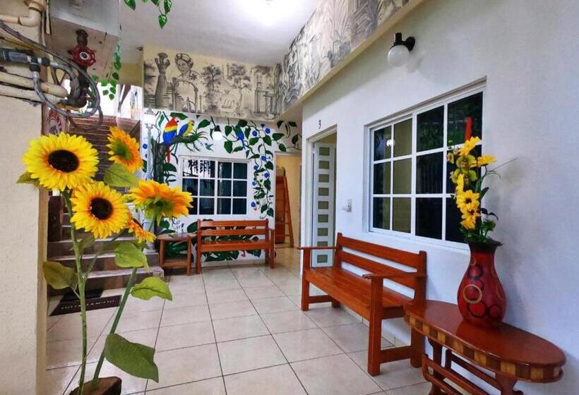 חדר סטנדרט לשלושה, Jovita