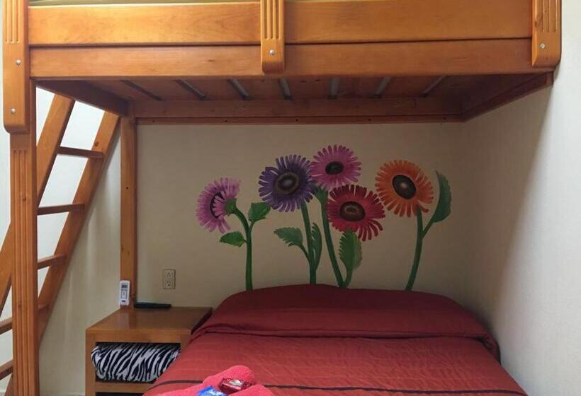 חדר סטנדרט לשלושה, Jovita