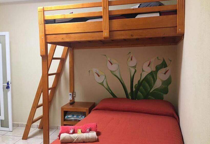 חדר סטנדרט לשלושה, Jovita