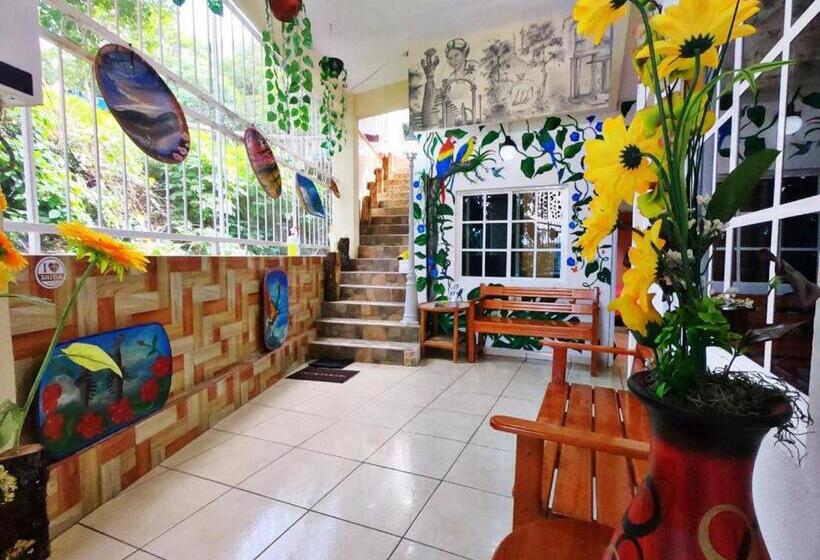 חדר סטנדרט לשלושה, Jovita