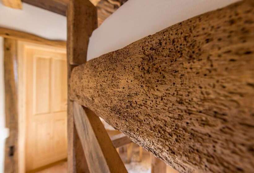 اتاق خانوادگی, Central Bled House