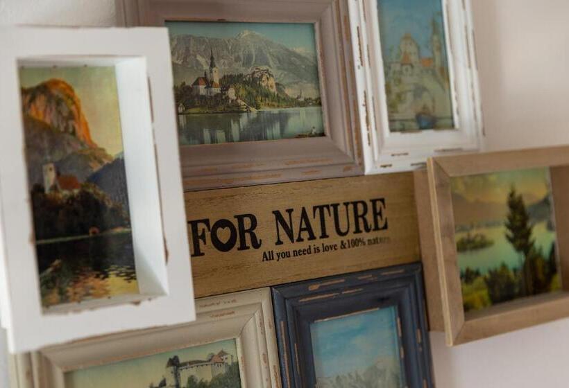 اتاق اکونومی, Central Bled House