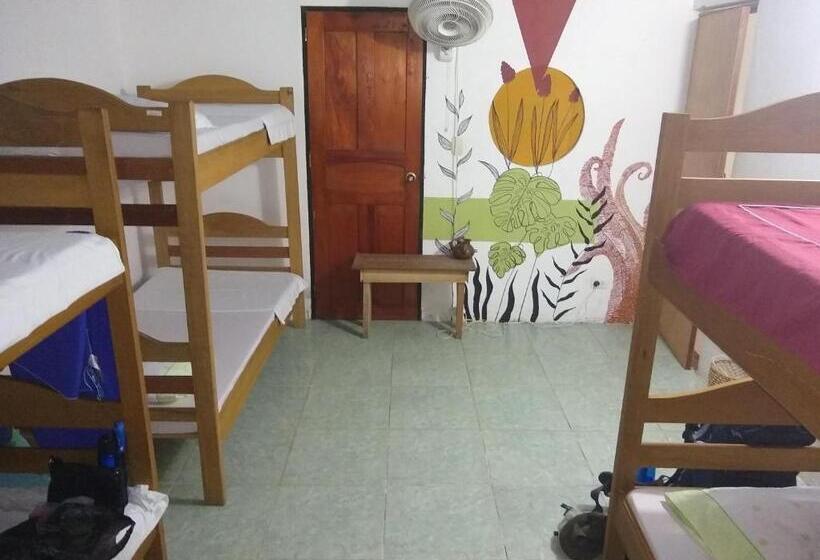 ルームシェアのワンベッド, La Jangada Hostel & Tours