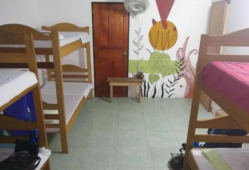 Vuode Makuusalissa, La Jangada Hostel & Tours