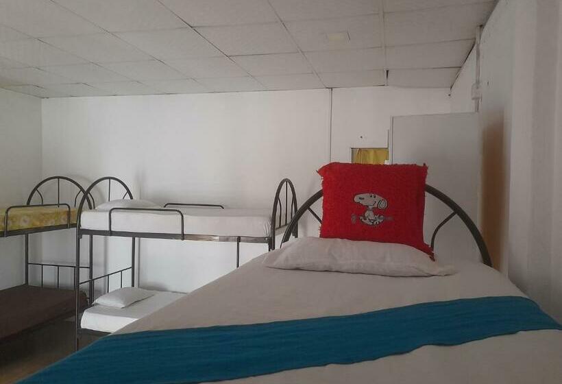 Bed in Shared Room, City View Hostel