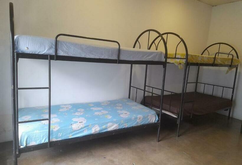 تختخواب در اتاق مشترک, City View Hostel