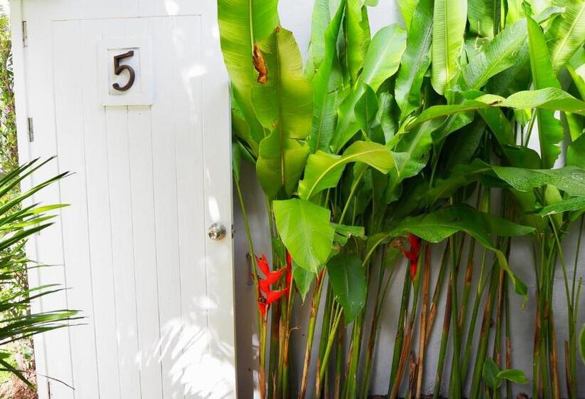 חדר סופריור, Purin Resort & Restaurant  Sha Plus