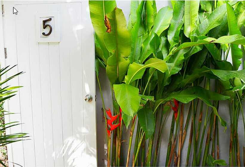 חדר סופריור, Purin Resort & Restaurant  Sha Plus