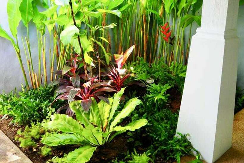 חדר סופריור, Purin Resort & Restaurant  Sha Plus