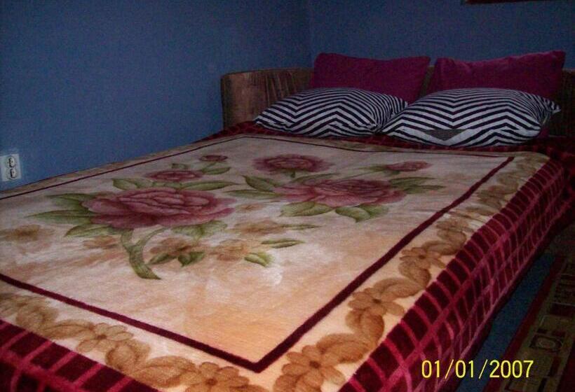 اتاق اکونومی, Pansion Stari Konak