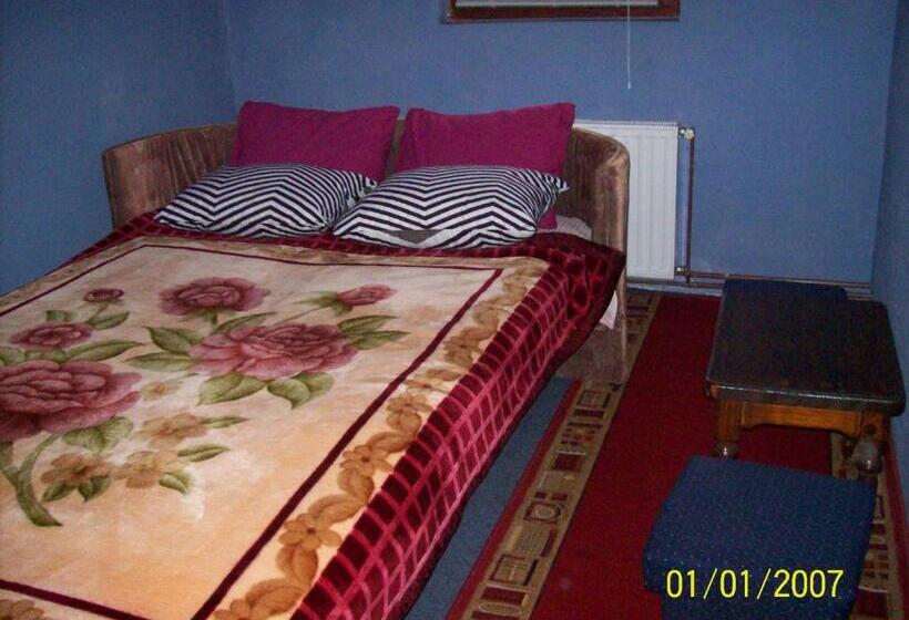 اتاق اکونومی, Pansion Stari Konak