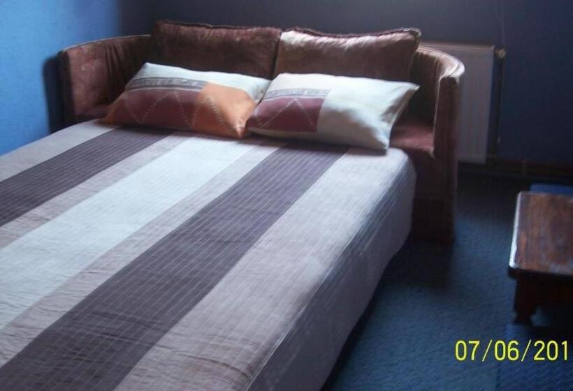 اتاق اکونومی, Pansion Stari Konak