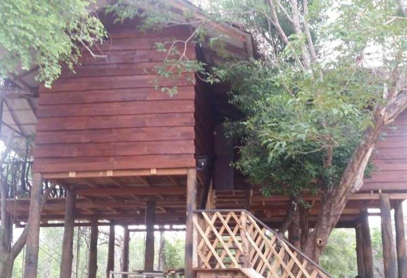 Quarto Economy, Ritigala Lodge