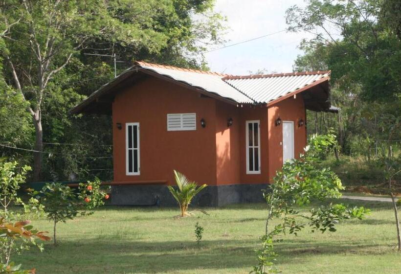 Quarto Deluxe Vista Montanha, Ritigala Lodge