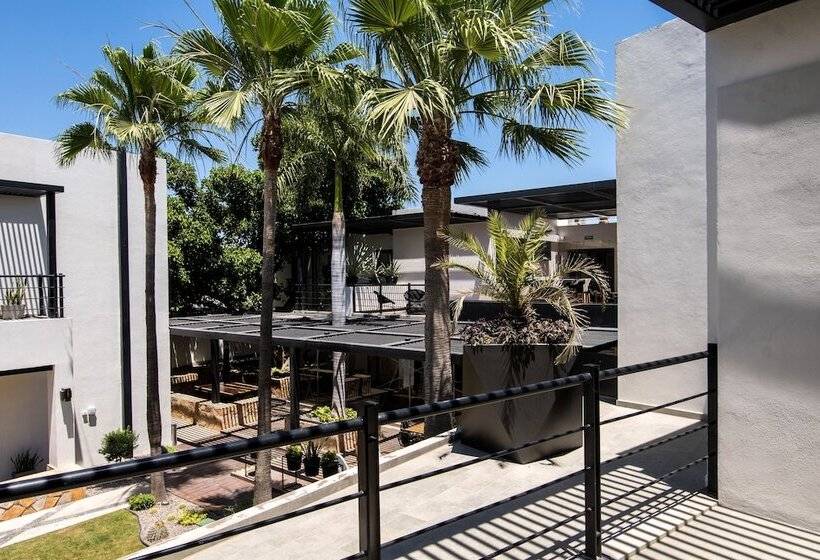 סוויטה דלוקס, Marsella 45