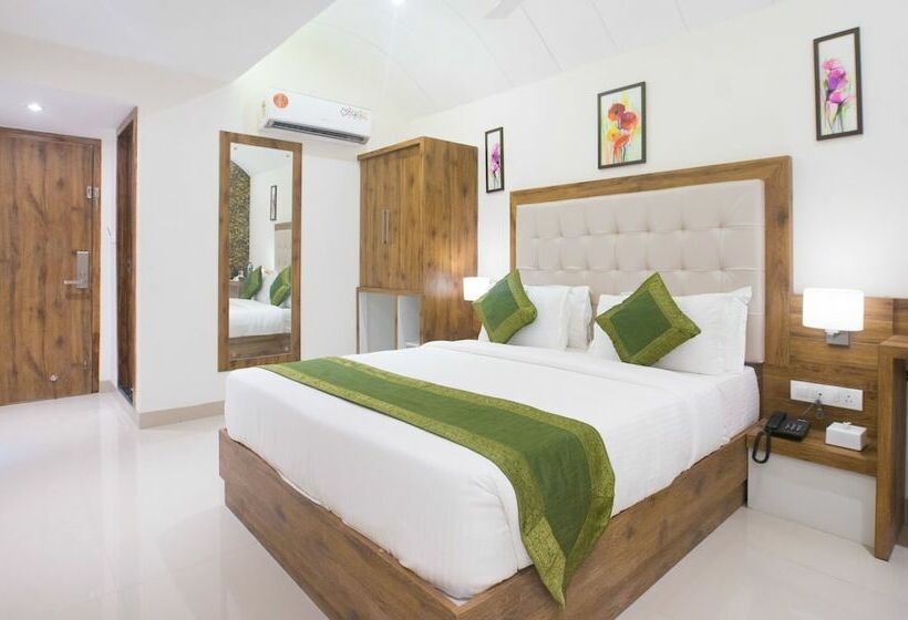 اتاق استاندارد, Treebo Amber International