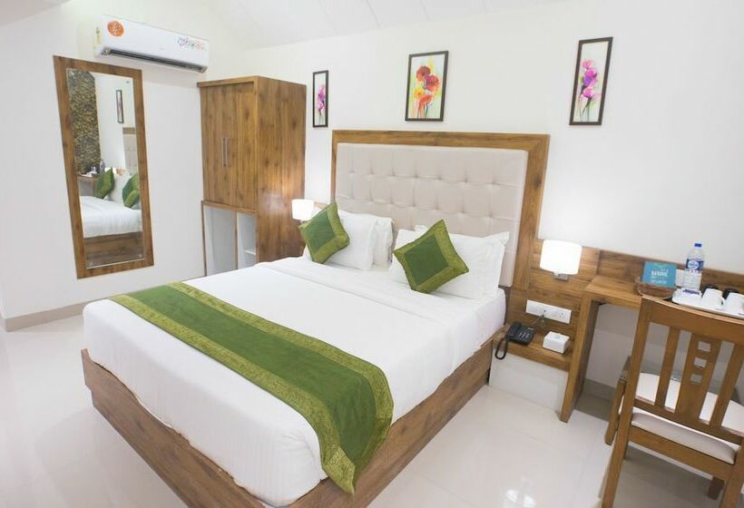 اتاق استاندارد, Treebo Amber International