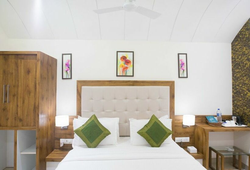 اتاق استاندارد, Treebo Amber International