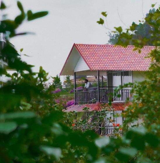 Habitació Quàdruple Deluxe, Forest County