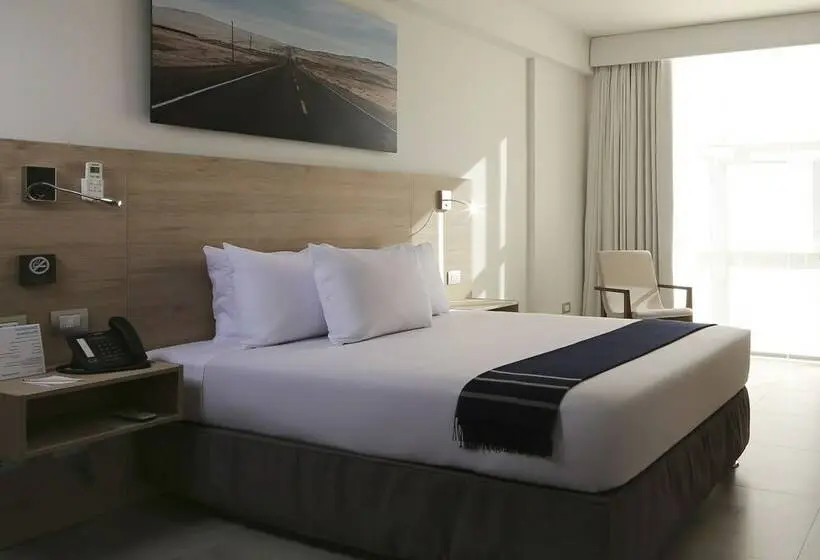 اتاق سوپریور, Casa Andina Select Moquegua
