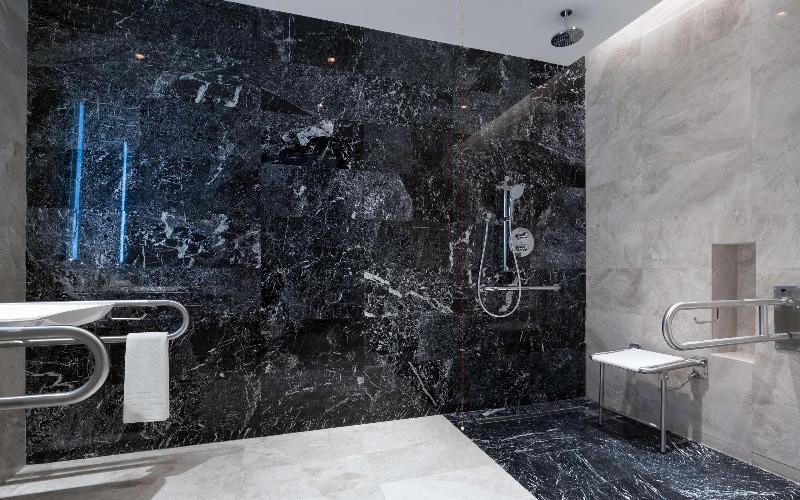 اتاق استاندارد با تخت بزرگ, Hilton Astana