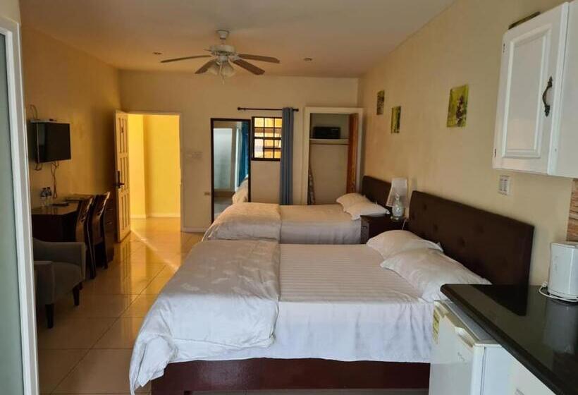 اتاق لوکس با بالکن, Oriental Suites