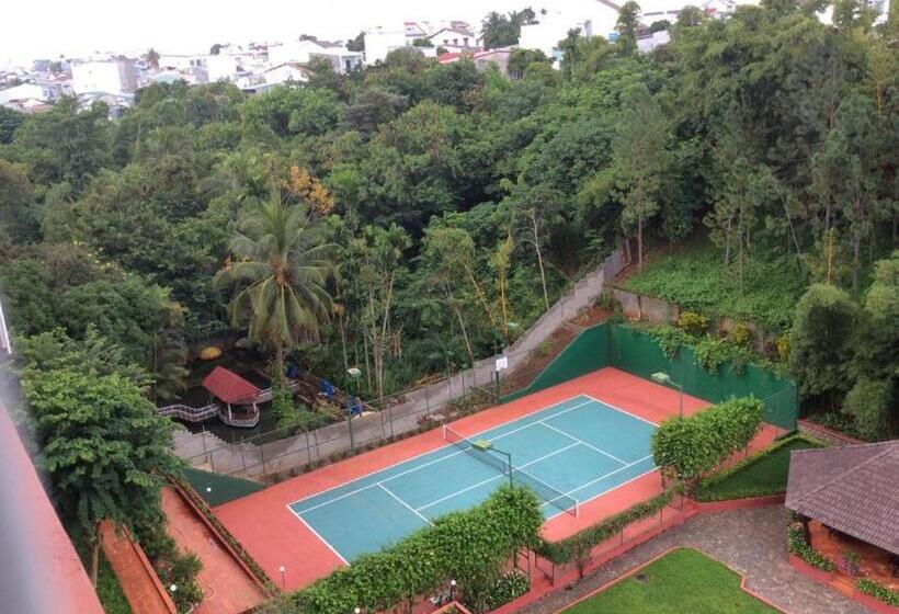 اتاق لوکس, Dam San