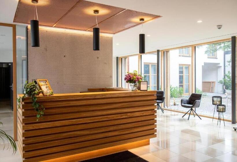 Номер Стандарт Индивидуальный, Altstadthotel Brauereigasthof Winkler
