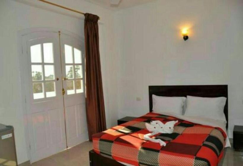 اتاق اکونومی, Gold Ibis