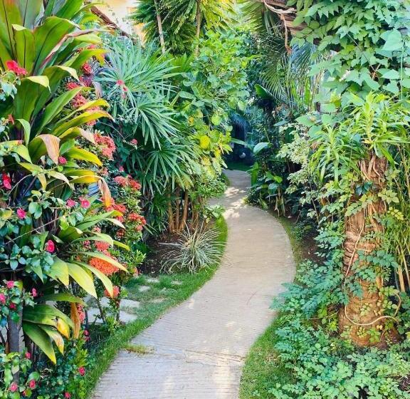 اتاق استاندارد با تراس, Le Jardin Exotique