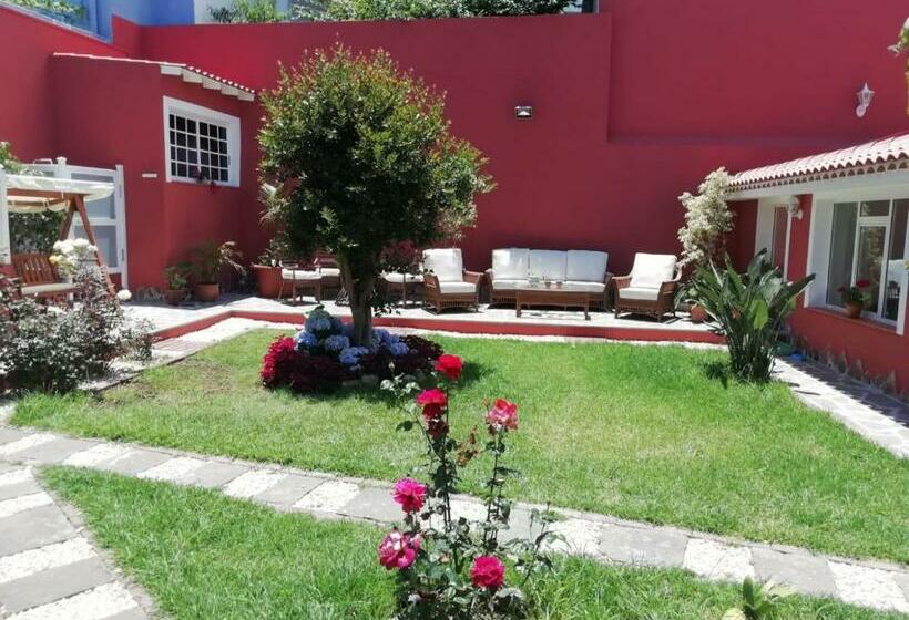 デラックスファミリールーム, Drago San Antonio