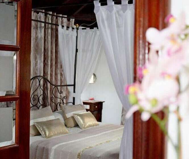 スタンダードルーム, Drago San Antonio