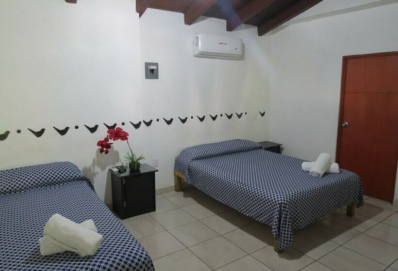 غرفة قياسية رباعية, Posada Comala